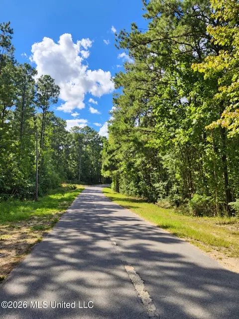 lot1 Nhn Will Thompson, Picayune, MS 39466