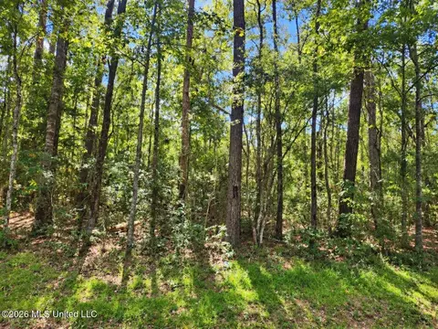 lot1 Nhn Will Thompson, Picayune, MS 39466 photo 4