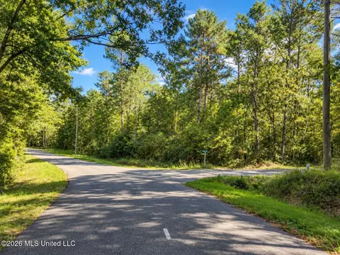 lot1 Nhn Will Thompson, Picayune, MS 39466 photo 3