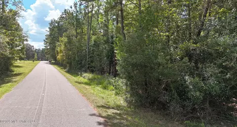 Riverline Drive, Saucier, MS 39574 photo 3
