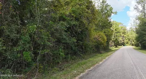 Riverline Drive, Saucier, MS 39574 photo 4