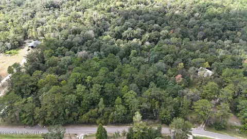 Riverline Drive, Saucier, MS 39574 photo 5