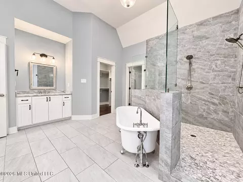 Bath - 1657 Carlee Dr, Hernando, MS 38632 photo 4 of 5