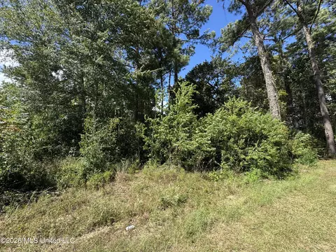 Veterans Drive, Diamondhead, MS 39525 photo 2