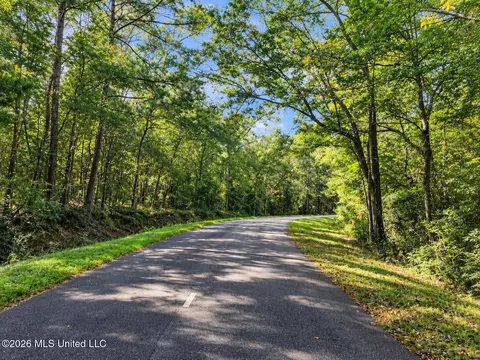 lot9 Nhn Will Thompson, Picayune, MS 39466 photo 5