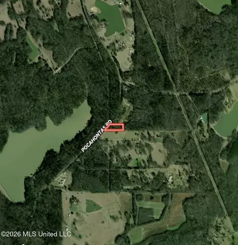 Pocahontas Road, Flora, MS 39071 photo 2