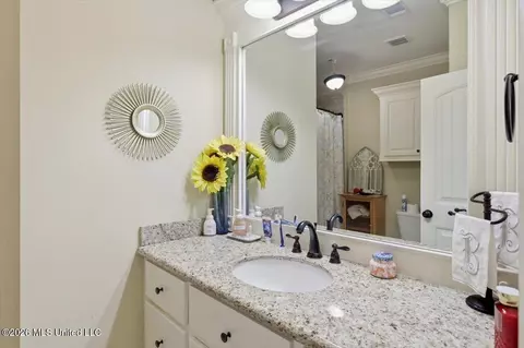 Bath - 87 Brisco St, Madison, MS 39110 photo 3 of 4