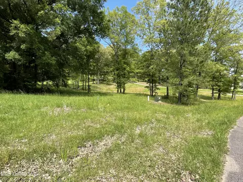 H Dover Lane, Madison, MS 39110 photo 2