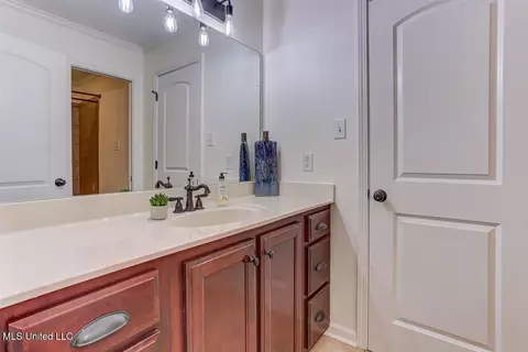 Bath - 3914 Saddle Bnd, Olive Branch, MS 38654 photo 5 of 6