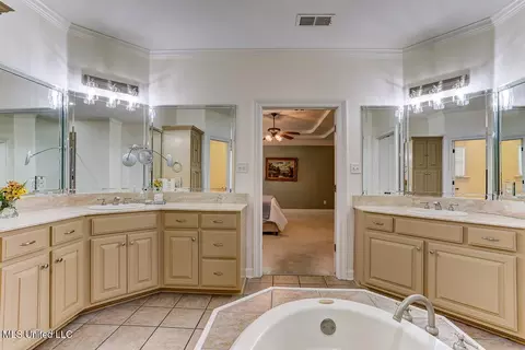 Bath - 3914 Saddle Bnd, Olive Branch, MS 38654 photo 3 of 6