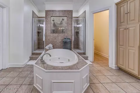 Bath - 3914 Saddle Bnd, Olive Branch, MS 38654 photo 1 of 6
