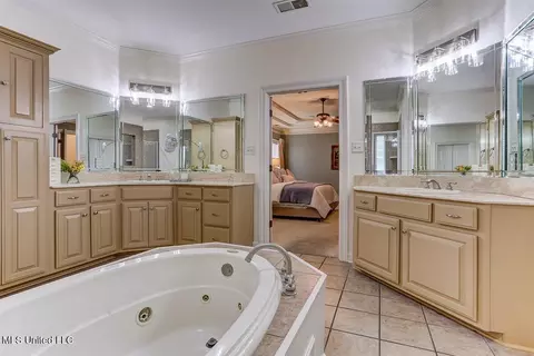 Bath - 3914 Saddle Bnd, Olive Branch, MS 38654 photo 2 of 6