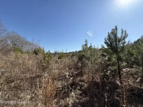 532 Mount Zion Rd, Prentiss, MS 39474