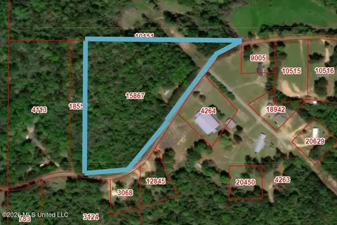 265 Steel Mill Rd, Mendenhall, MS 39114