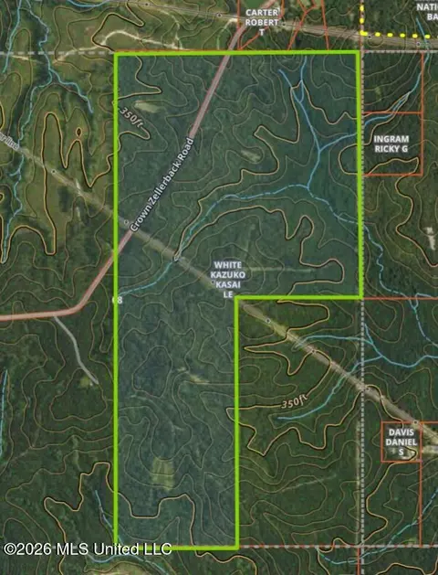 Crown Zellerback Road, Lumberton, MS 39455