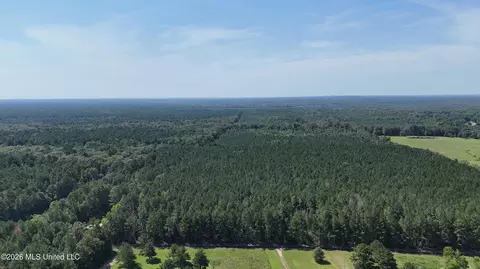 Davis Road, Morton, MS 39117