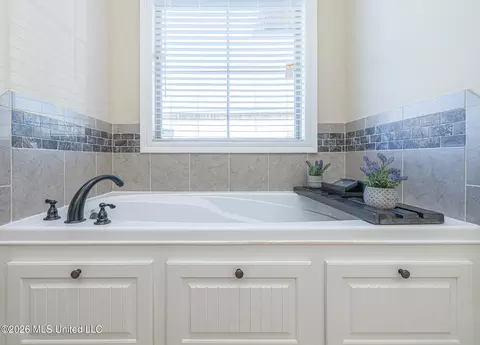 Bath - 285 Winterfield Ct, Brandon, MS 39042 photo 3 of 4