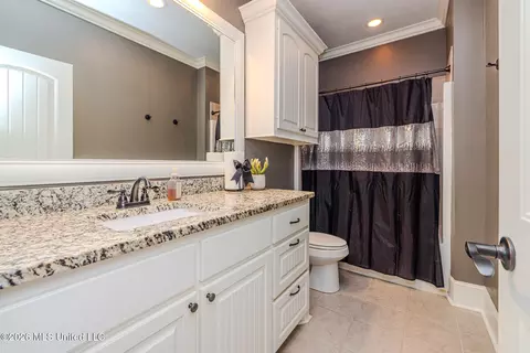 Bath - 285 Winterfield Ct, Brandon, MS 39042 photo 1 of 4