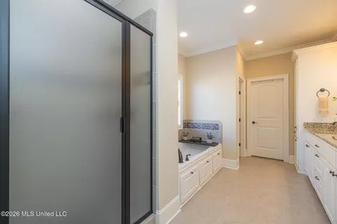 Bath - 285 Winterfield Ct, Brandon, MS 39042 photo 2 of 4