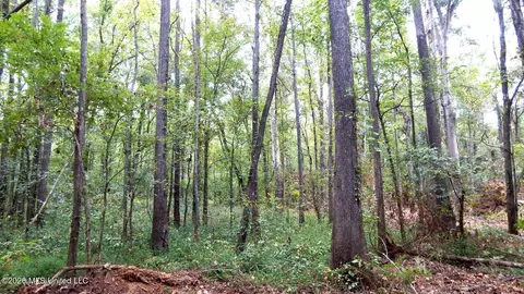 180 County Road 611 Country Rd, Walnut, MS 38683 photo 14