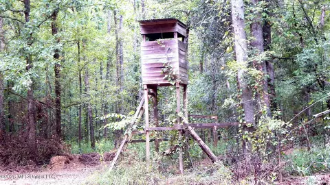 180 County Road 611 Country Rd, Walnut, MS 38683 photo 23