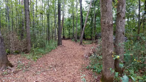 180 County Road 611 Country Rd, Walnut, MS 38683 photo 13