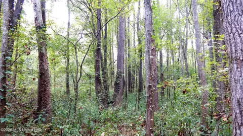 180 County Road 611 Country Rd, Walnut, MS 38683 photo 15