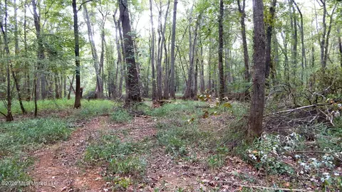 180 County Road 611 Country Rd, Walnut, MS 38683 photo 25