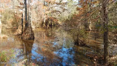 180 County Road 611 Country Rd, Walnut, MS 38683 photo 6