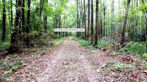 180 County Road 611 Country Rd, Walnut, MS 38683 photo 10