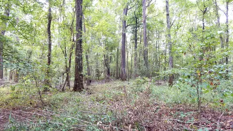 180 County Road 611 Country Rd, Walnut, MS 38683 photo 20