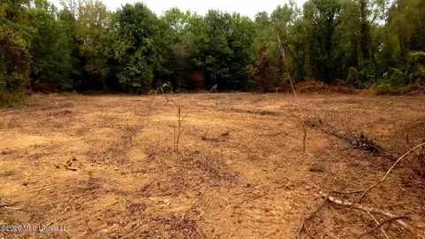 180 County Road 611 Country Rd, Walnut, MS 38683 photo 16