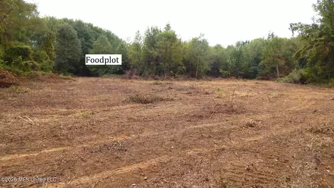 180 County Road 611 Country Rd, Walnut, MS 38683 photo 18