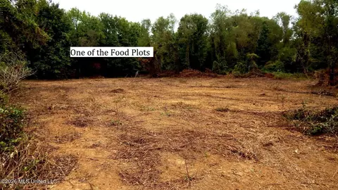 180 County Road 611 Country Rd, Walnut, MS 38683 photo 8