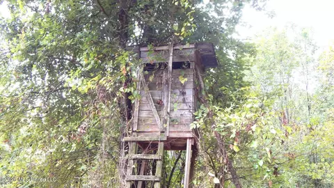 180 County Road 611 Country Rd, Walnut, MS 38683 photo 19