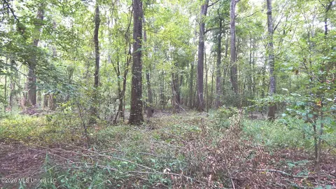 180 County Road 611 Country Rd, Walnut, MS 38683 photo 21