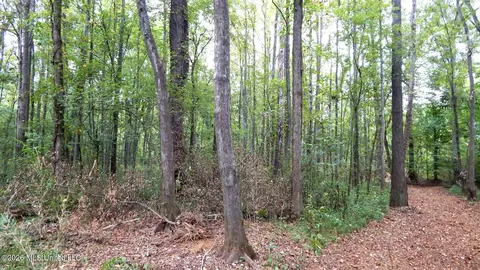 180 County Road 611 Country Rd, Walnut, MS 38683 photo 12