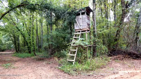180 County Road 611 Country Rd, Walnut, MS 38683 photo 24