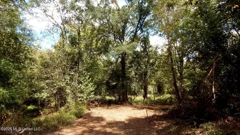 180 County Road 611 Country Rd, Walnut, MS 38683 photo 27