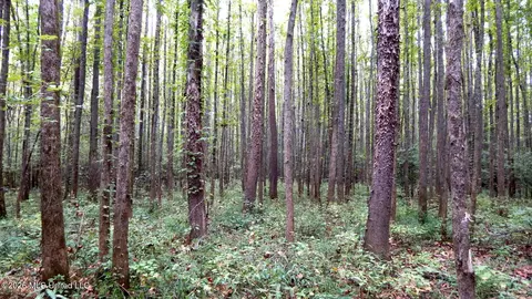 180 County Road 611 Country Rd, Walnut, MS 38683 photo 9
