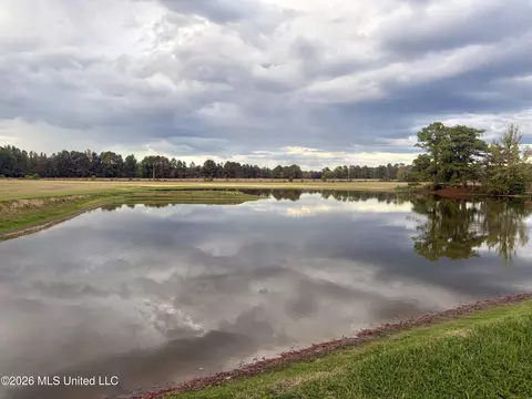 View/Area - 1310 Jones Loop #1310, Terry, MS 39170 photo 2 of 2
