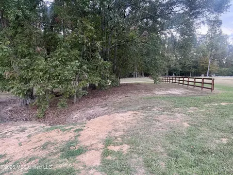 Other - 1310 Jones Loop #1310, Terry, MS 39170 photo 14 of 19