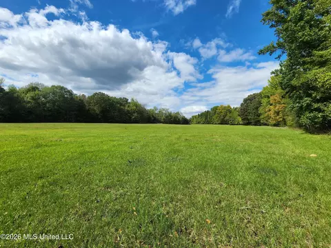 58 Rowell Rd, Coldwater, MS 38618 photo 20
