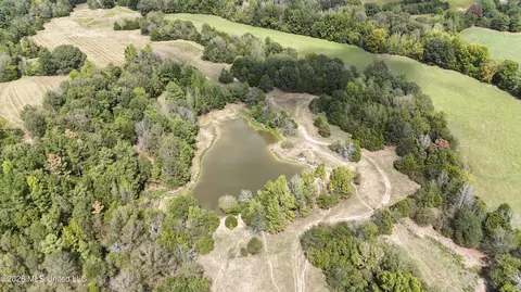 58 Rowell Rd, Coldwater, MS 38618 photo 22