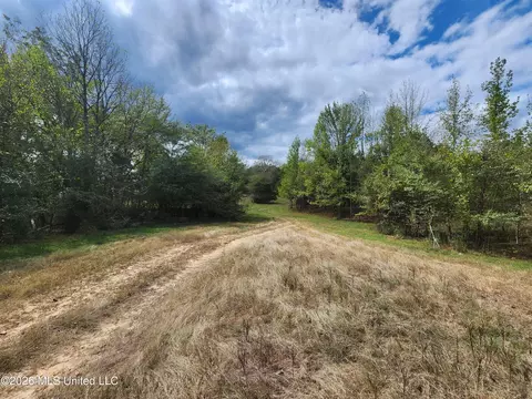 58 Rowell Rd, Coldwater, MS 38618 photo 4