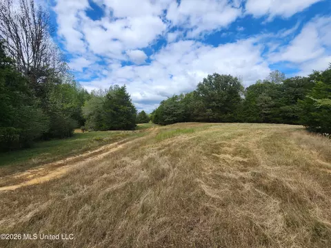 58 Rowell Rd, Coldwater, MS 38618 photo 5
