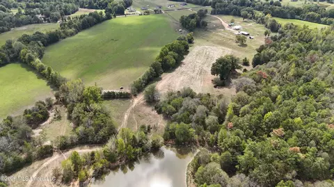 58 Rowell Rd, Coldwater, MS 38618 photo 24