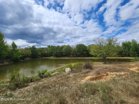 58 Rowell Rd, Coldwater, MS 38618 photo 6