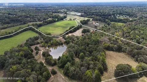 58 Rowell Rd, Coldwater, MS 38618 photo 2