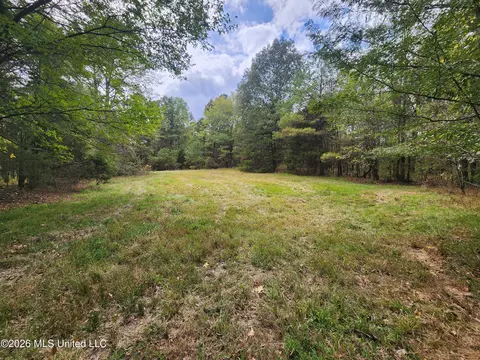 58 Rowell Rd, Coldwater, MS 38618 photo 16